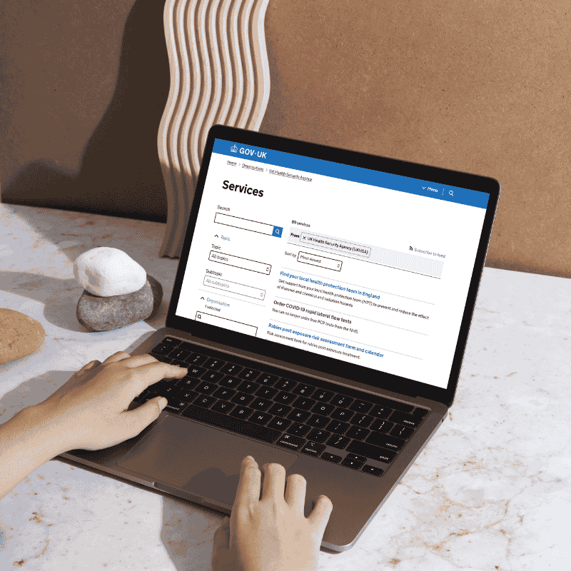 The UKHSA services catalogue on GOV.UK, part of the service landscape mapping that made the full Covid service portfolio visible to senior leaders